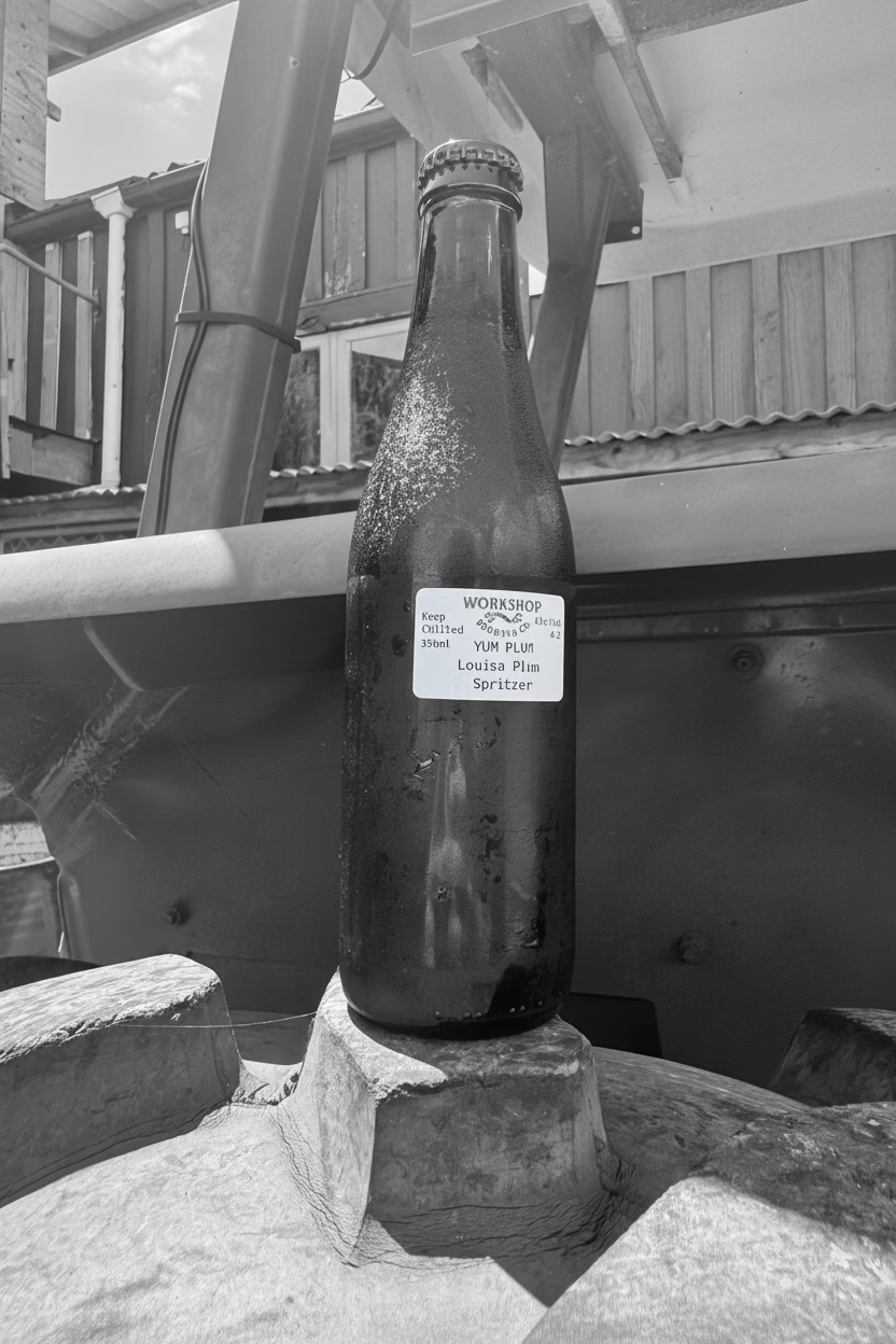 YUM PLUM - Luisa Plum Spritzer 4.2%
