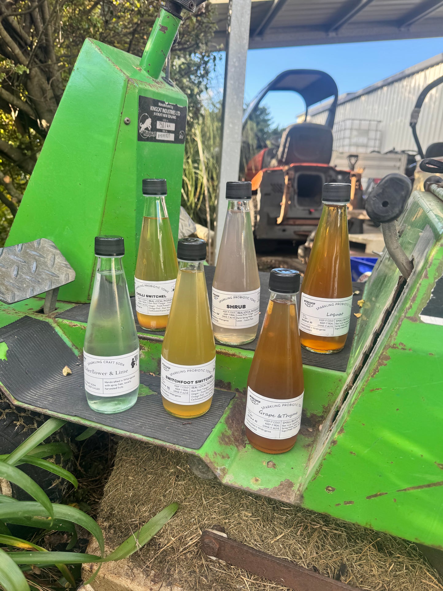 Seasonal Fruit Soda