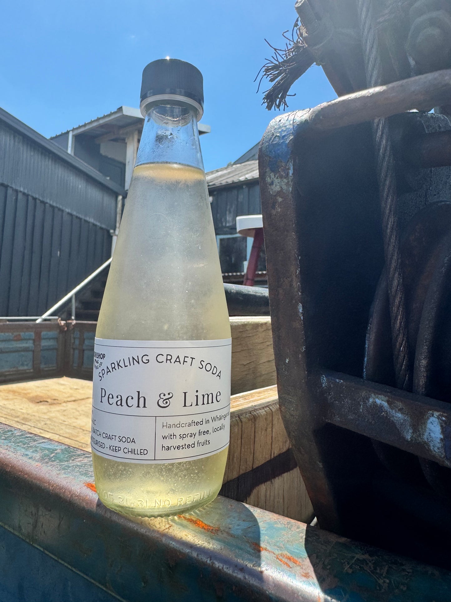 Seasonal Fruit Soda