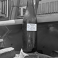 YUM PLUM - Luisa Plum Spritzer 4.2%