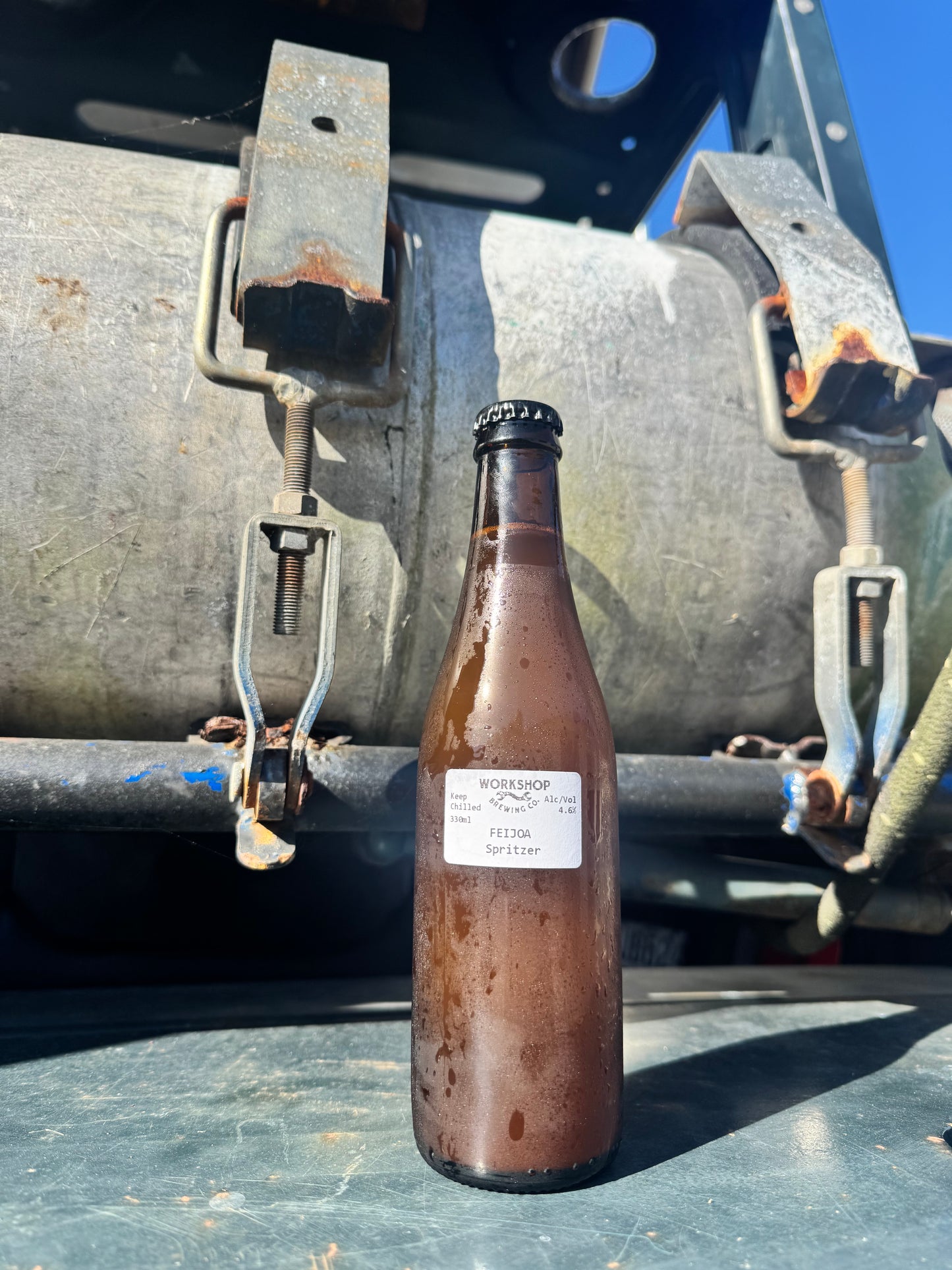 Feijoa Spritzer 4.6%