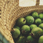 Feijoa Spritzer 4.6%